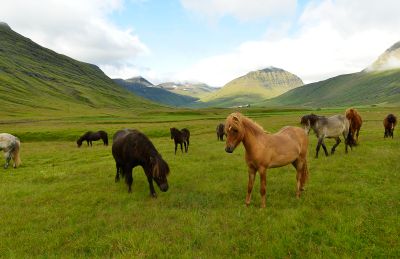 Islande