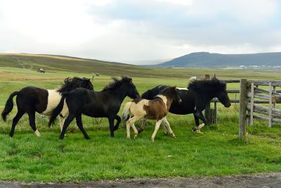 Islande