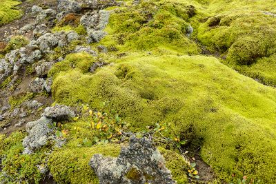 Islande