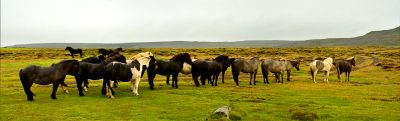Islande