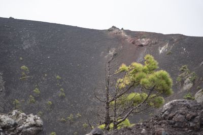 La Palma (île des canaries)