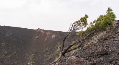 La Palma (île des canaries)