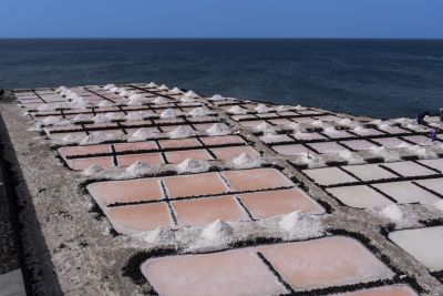 La Palma (île des canaries)