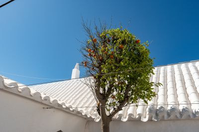 Minorque