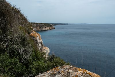 Minorque