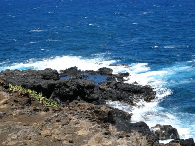Reunion