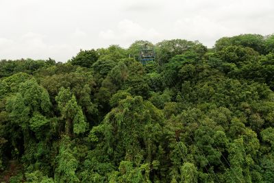 Singapour