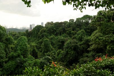 Singapour