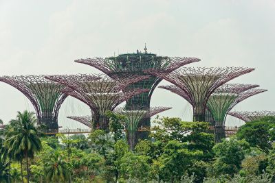 Singapour