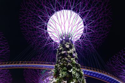 Singapour