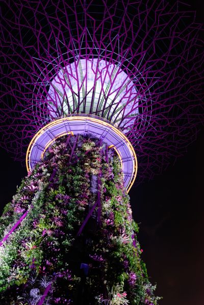 Singapour