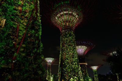 Singapour