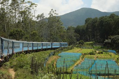 Srilanka18