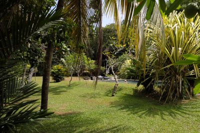 Srilanka18