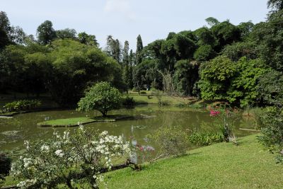 Srilanka18