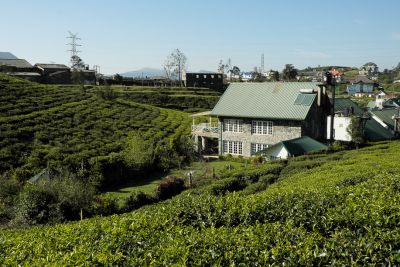 Srilanka18