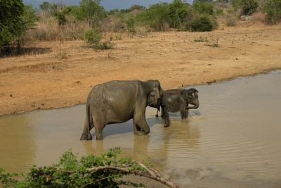 Srilanka18