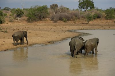 Srilanka18