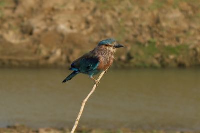Srilanka18