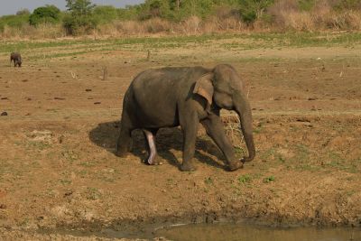 Srilanka18