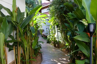 Srilanka18