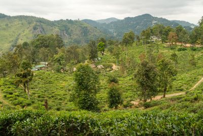 Srilanka23