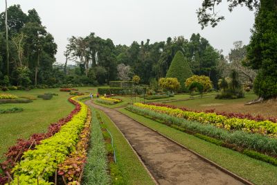 Srilanka23