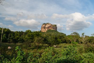 Srilanka23