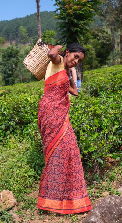 Srilanka23