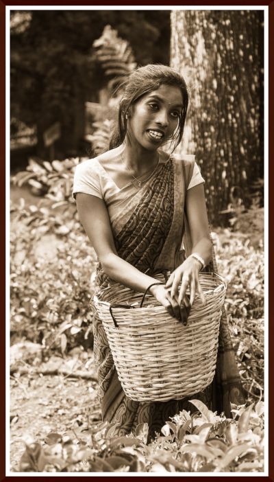 Srilanka23