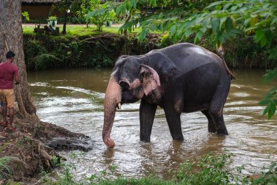 Srilanka23