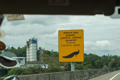 Srilanka23