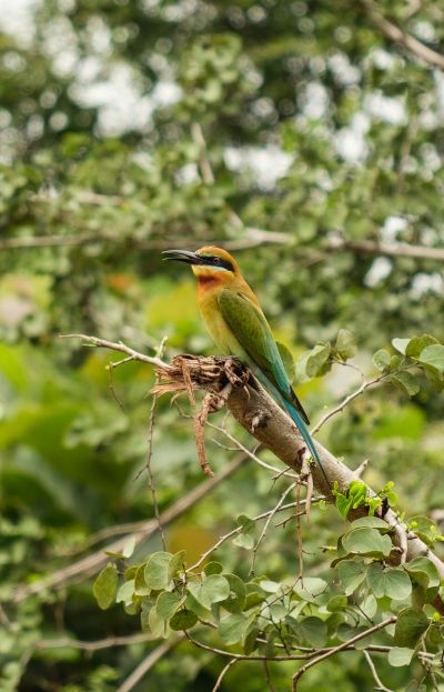 Srilanka23