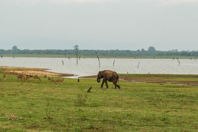 Srilanka23