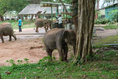Srilanka23