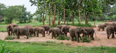 Srilanka23