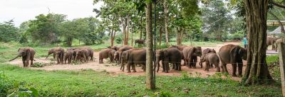 Srilanka23