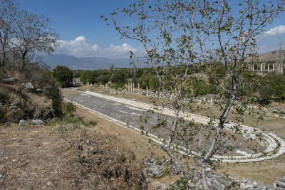 Temple d'Aphrodisias - Turquie