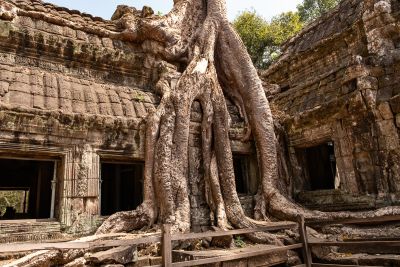 Temple