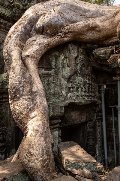 Temple