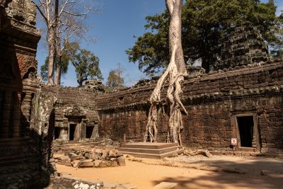Temple