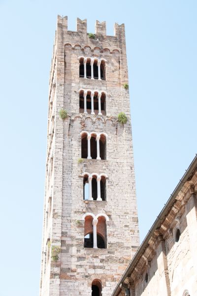Toscane