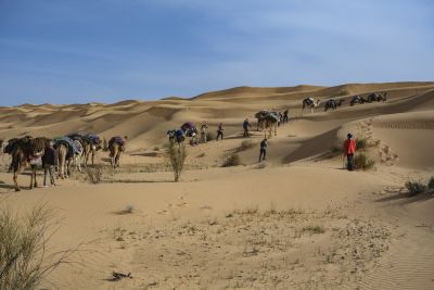 Tunisie: Tembaïne