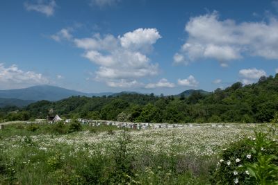Ubdano