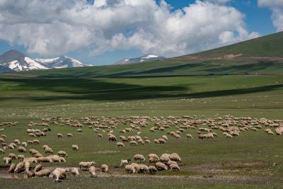 Vardzia