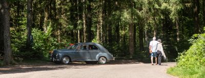 Vosges