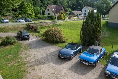 Vosges