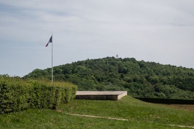 Vosges
