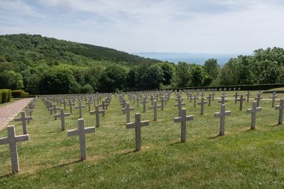 Vosges