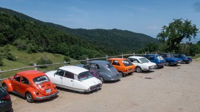 Vosges